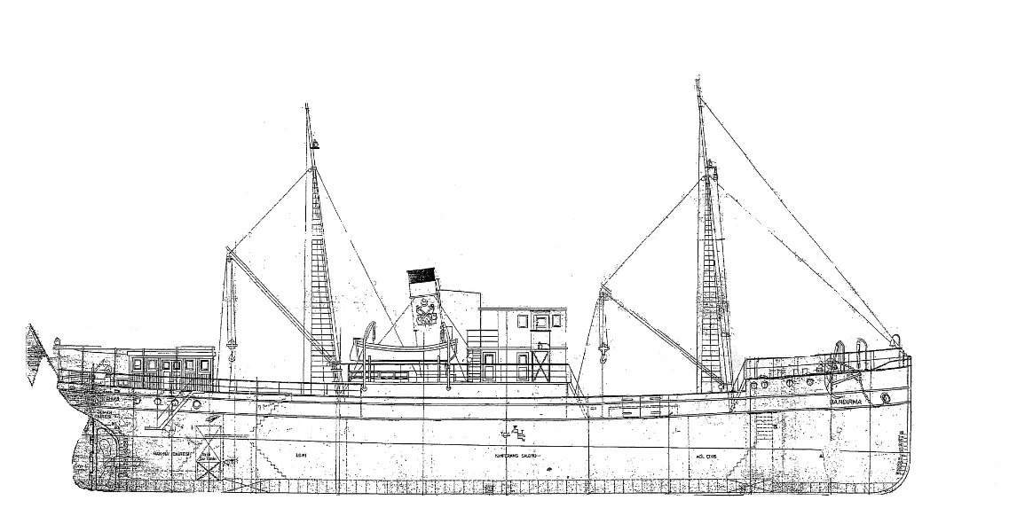 Balina